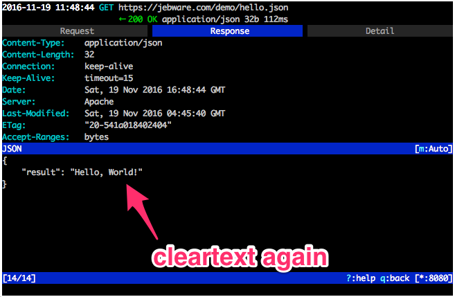 mitm-https-cleartext-marked